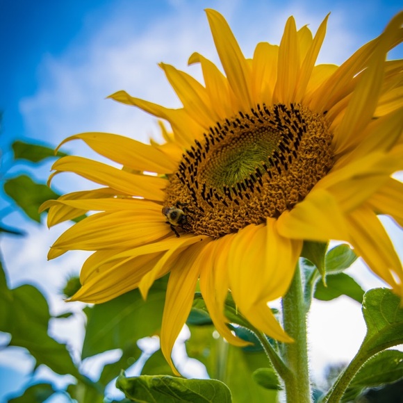 Meet your Posher, Tara - Picture 1 of 1